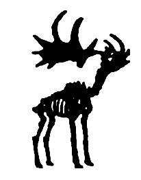 Geological Museum – Trinity College Dublin