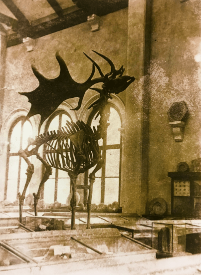 Interior of the Geological Museum