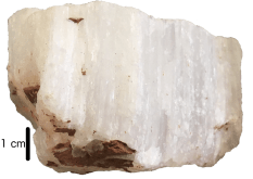 gypsum