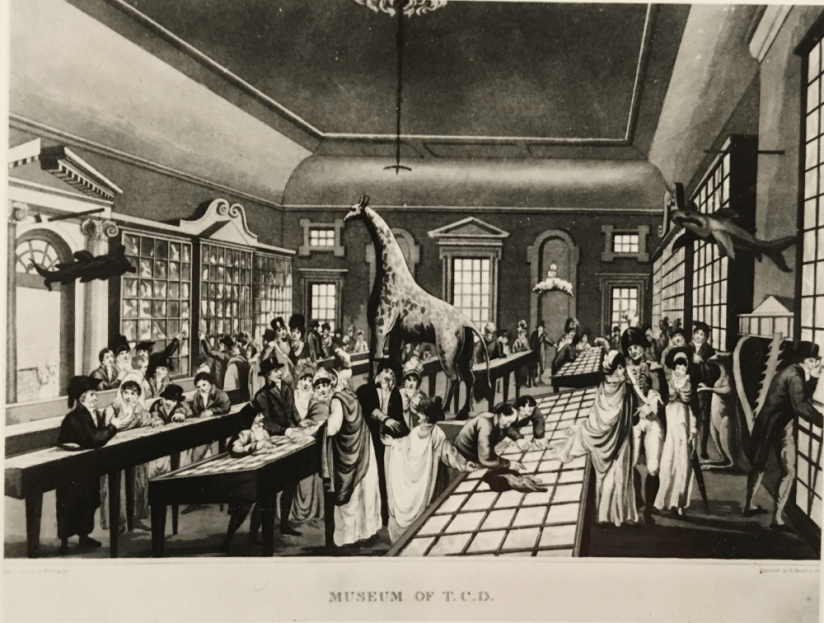 museum_regent_house_1891