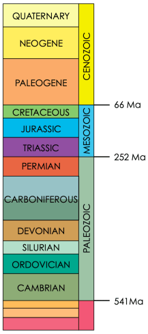 Screenshot 2019-03-25 20.59.20