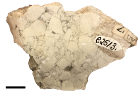 breccia_small