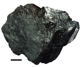coal_small