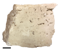 travertine_small